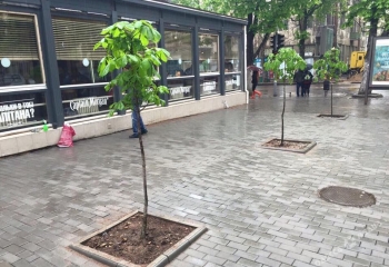 Кафе «Капітан Морган»